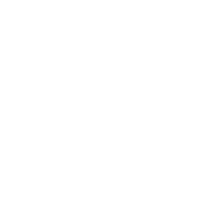 interncambio-sur-sur